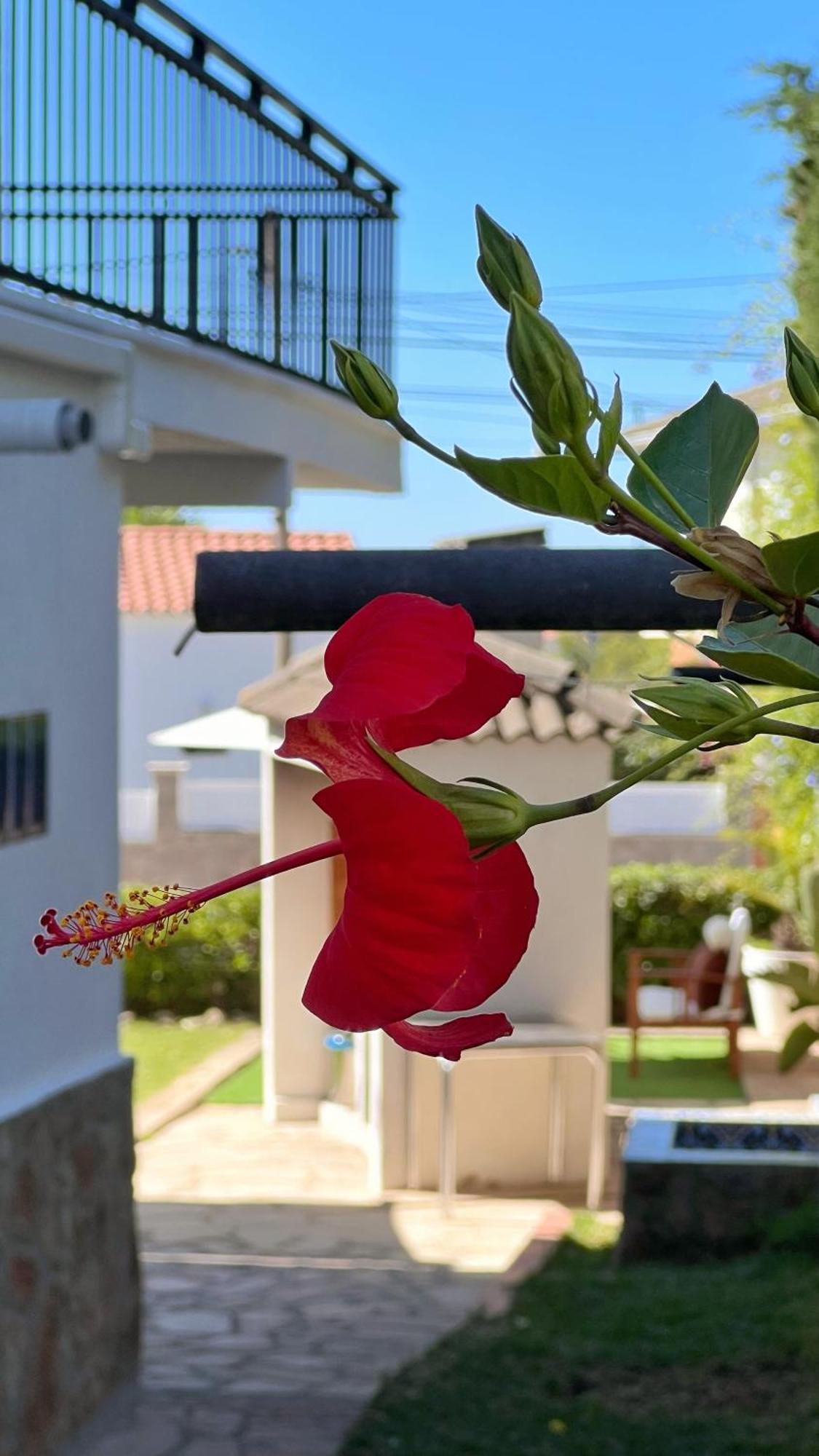 Casa Con Vistas Al Mar Wi-Fi Bbq Aircond Villa Calafell Kültér fotó